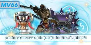 Soi kèo Esports